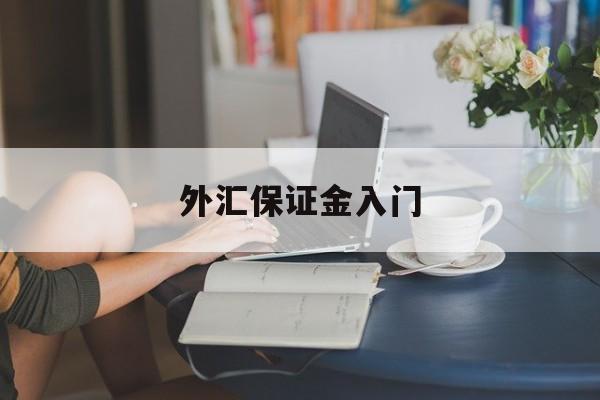 外汇保证金入门(外汇保证金怎么算)